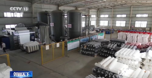 高质量发展调研行丨新疆 一朵棉花，链起产业集群